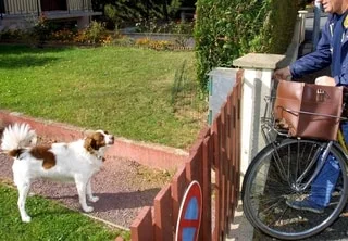 UNE FACTRICE MORDUE AU VISAGE PAR UN CHIEN, LORS DE SA TOURNÉE DANS UNE COMMUNE DU NORD DE LA SARTHE