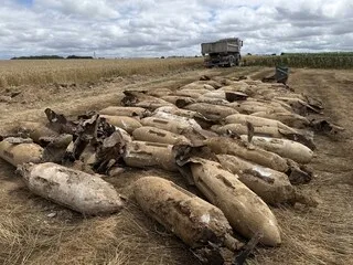 PENDANT UN CHANTIER PRÈS DE L’AÉROPORT DE CAEN, 75 BOMBES « D’ENTRAINEMENT AU LARGAGE » ONT ÉTÉ RETROUVÉES