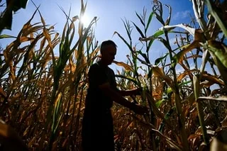 VAGUE DE CHALEUR : OÙ VA-T-IL FAIRE LE PLUS CHAUD DANS LES PROCHAINS JOURS ?