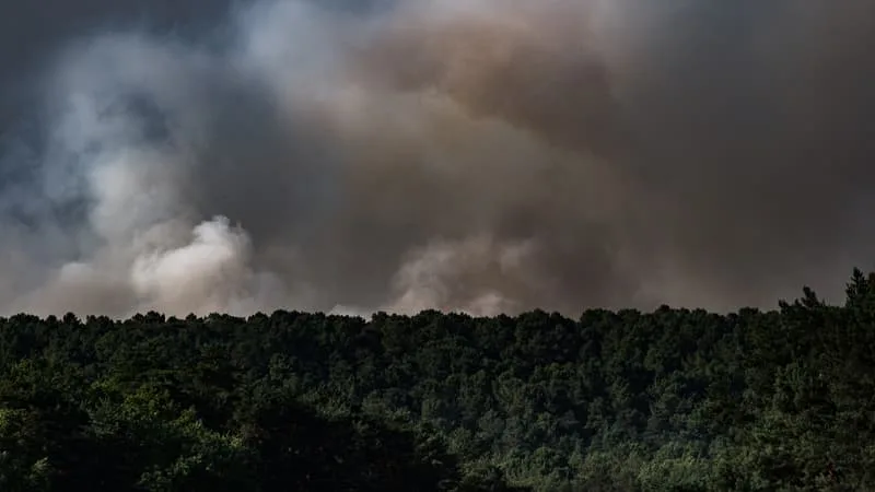 L’INCENDIE EN FORÊT DE FONTAINEBLEAU EST DÉSORMAIS LE TROISIÈME PLUS GROS FEU DANS LA MOITIÉ NORD DE LA FRANCE DEPUIS 2006
