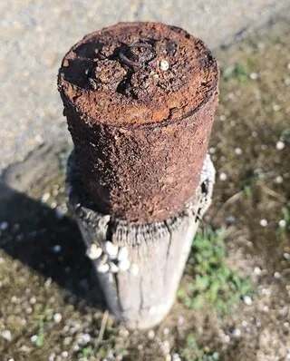 « NOUS L’AVONS ÉCHAPPÉ BELLE » : LORS D’UNE OPÉRATION DE RAMASSAGE DE DÉCHETS SUR UNE PLAGE, ILS TOMBENT SUR UNE MINE
