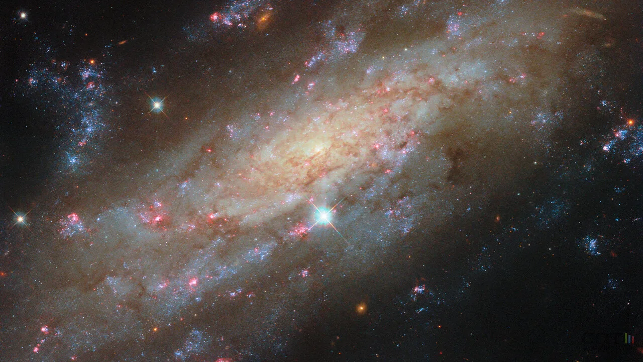 HUBBLE RÉVÈLE UN JUMEAU DE NOTRE GROUPE LOCAL