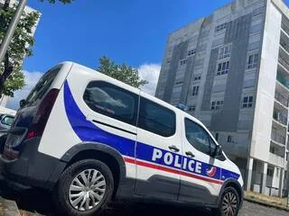 INFO OUEST-FRANCE. UNE FEMME D’UNE TRENTAINE D’ANNÉES RETROUVÉE MORTE DANS UN LOGEMENT À LAVAL, UN SUSPECT INTERPELLÉ
