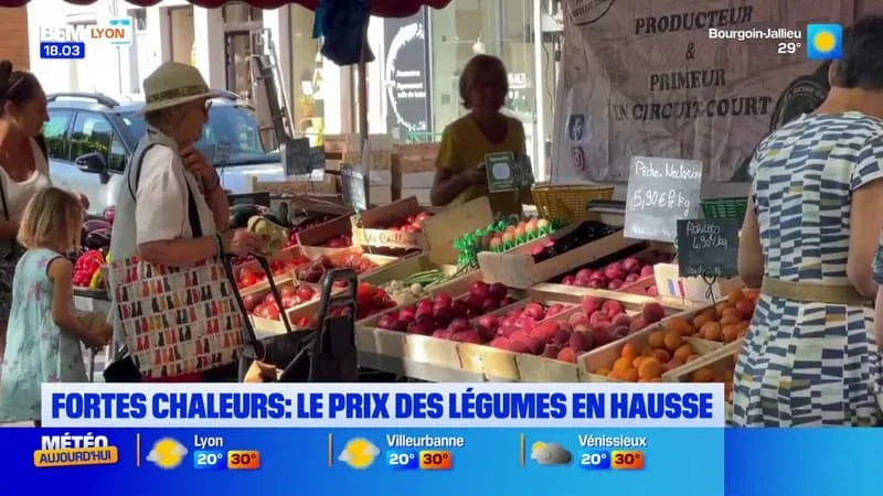 FORTES CHALEURS : LE PRIX DES LÉGUMES EN HAUSSE