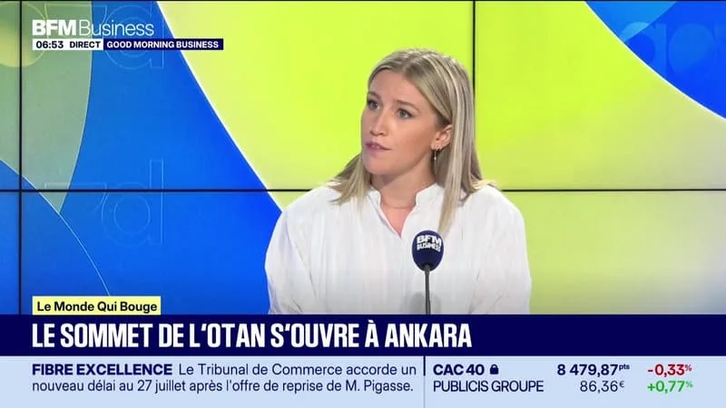 ANNALISA CAPPELLINI : LE SOMMET DE L’OTAN S’OUVRE À ANKARA – 07/07