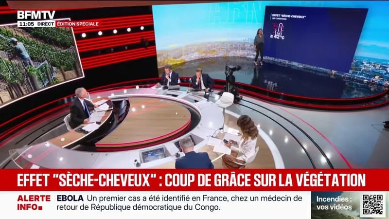 LES ECLAIREURS – CANICULE: C’EST QUOI L’EFFET SÈCHE-CHEVEUX QUI TOUCHE LA VÉGÉTATION?
