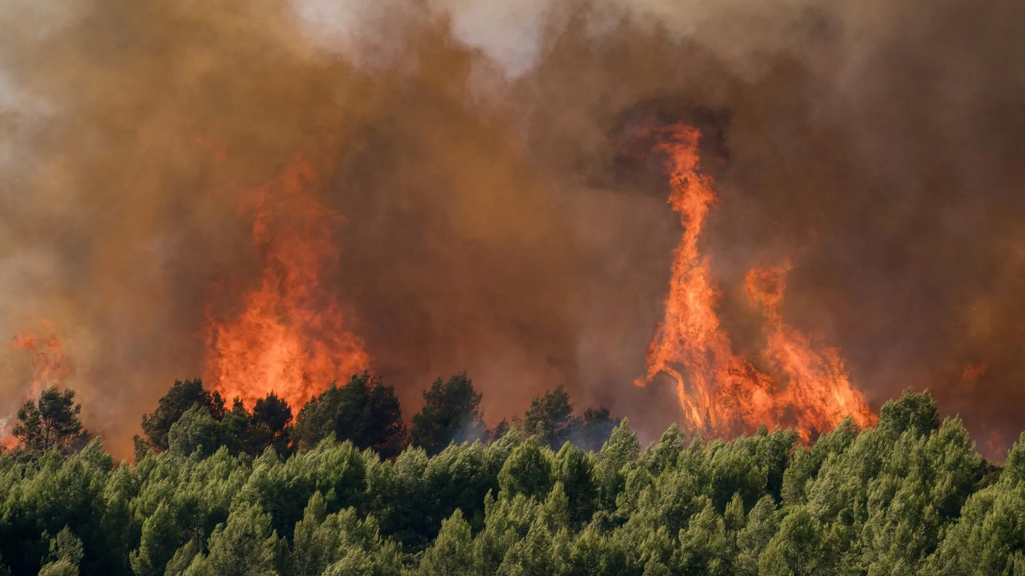 FIXÉ, MAÎTRISÉ, CIRCONSCRIT… LE VOCABULAIRE POUR COMPRENDRE LA GESTION DES INCENDIES