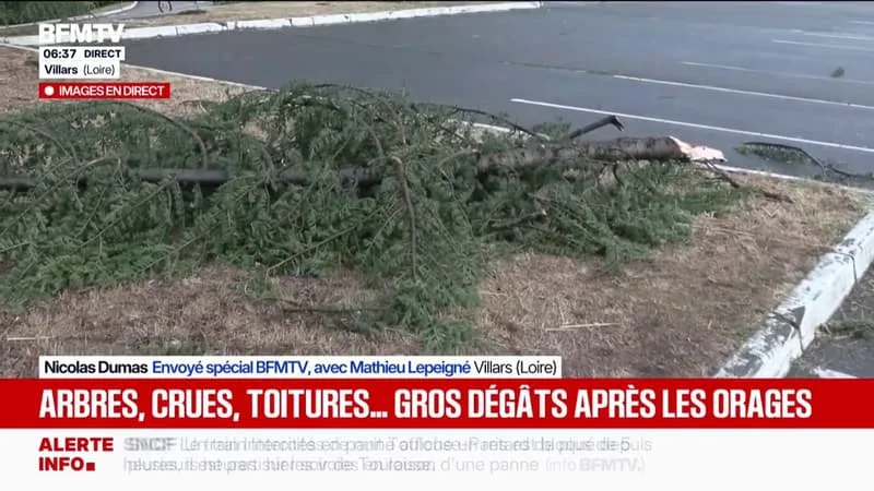 LES IMAGES DES DÉGÂTS APRÈS LE PASSAGE D’UNE TORNADE DANS LA LOIRE