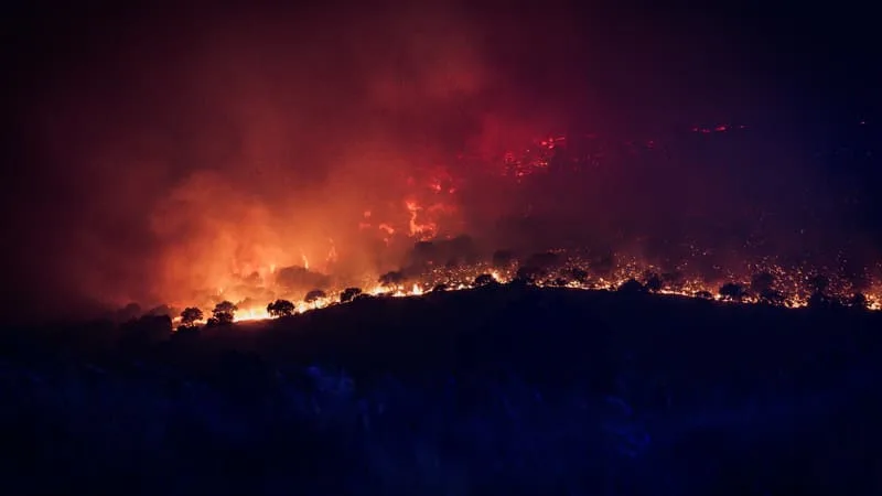 « IL EST IMPOSSIBLE À ÉTEINDRE »: LES AUTORITÉS ESTIMENT QUE L’INCENDIE DE MADRID EST « AU PLUS FORT »