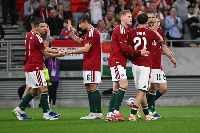 REGARDER LA COUPE DU MONDE, CET INDOMPTABLE PLAISIR COUPABLE