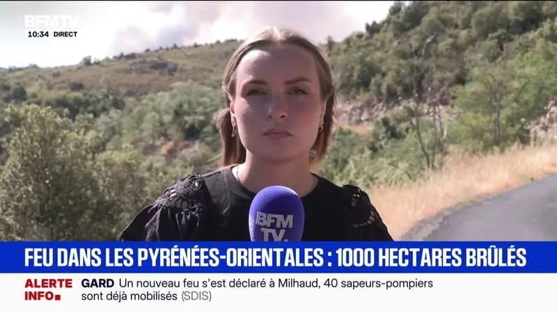 UN NOUVEL INCENDIE DANS LES PYRÉNÉES-ORIENTALES A PARCOURU 930 HECTARES DANS LA NUIT