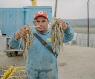 « ARRACHAGE DES YEUX » ET LONGUE AGONIE : CETTE ONG DEMANDE DE MEILLEURES CONDITIONS D’ÉLEVAGE POUR LES CREVETTES