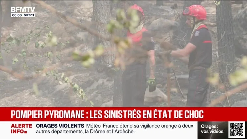 INCENDIE À FONTAINEBLEAU: DEUX PERSONNES INTERPELLÉES ONT AVOUÉ LEUR IMPLICATION DANS LES DÉPARTS DE FEU