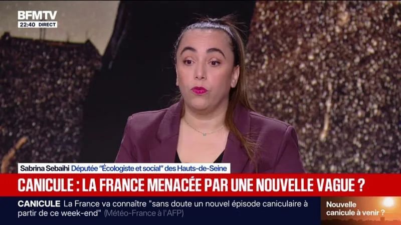LA FRANCE MENACÉE PAR UNE NOUVELLE VAGUE DE CHALEUR ?: « ON NE SERA PAS PRÊTS », CRAINT SABRINA SEBAIHI, DÉPUTÉE (ÉCOLOGISTE ET SOCIAL)