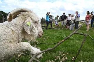 VOUS AVEZ CHOISI DE PASSER VOS VACANCES À LA FERME ? RACONTEZ-NOUS VOTRE SÉJOUR !