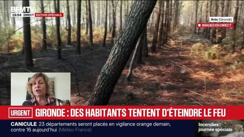 INCENDIES EN GIRONDE: « LA SOLIDARITÉ ET LE TRAVAIL DES POMPIERS PERMETTENT DE CONTENIR LE FEU », ASSURE NATHALIE DELATTRE, SÉNATRICE DE GIRONDE