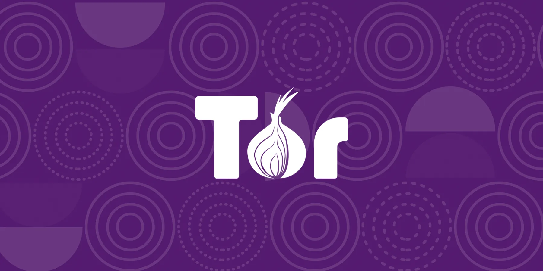 UNE SIMPLE PAGE WEB SUFFISAIT À METTRE À MAL LE NAVIGATEUR TOR ET FIREFOX