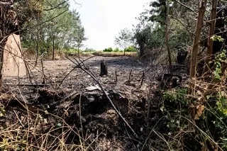 « IL Y AVAIT DES FLAMMÈCHES QUI VOLAIENT PARTOUT AUTOUR » : UN FEU DE BROUSSAILLES EFFRAIE LES RIVERAINS