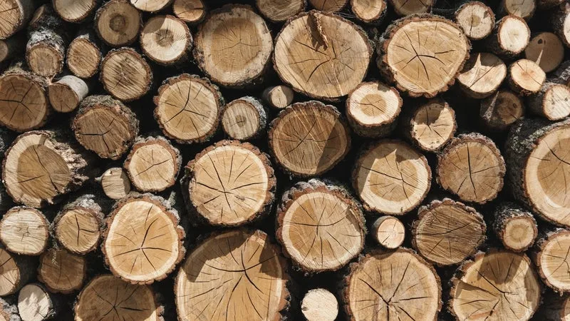 DES MAIRIES METTENT À DISPOSITION DES STÈRES DE BOIS À PRIX RÉDUIT POUR LE CHAUFFAGE, VOICI COMMENT EN PROFITER AVANT L’ÉPUISEMENT DES STOCKS