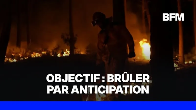 INCENDIE EN GIRONDE: QU’EST-CE QUE LE FEU TACTIQUE, UNE TECHNIQUE POUR RALENTIR LES FLAMMES?