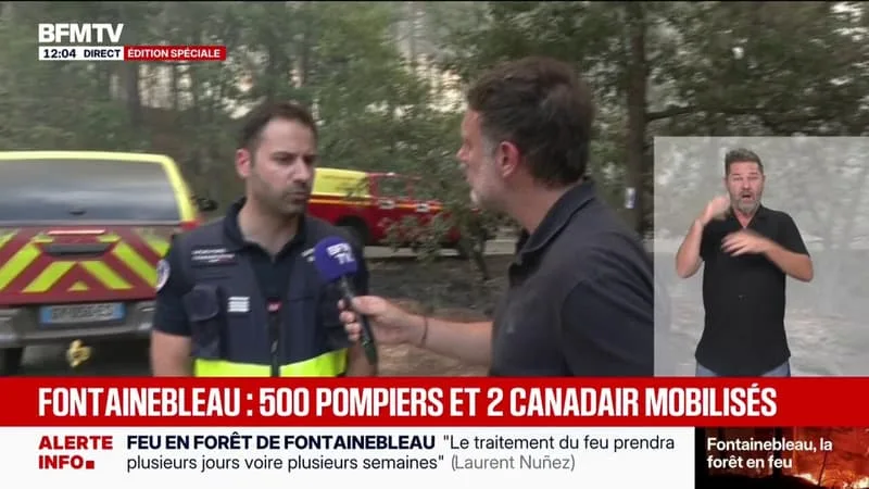 INCENDIE DE FONTAINEBLEAU: LE TRAITEMENT DU FEU RENDU « DIFFICILE » PAR LE VENT, ALORS QUE LES FUMÉES SE DÉPORTENT VERS LE LOIRET
