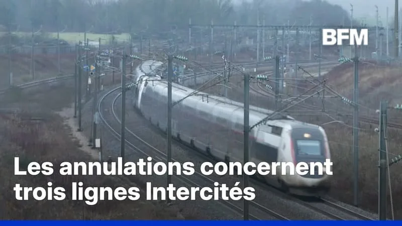CANICULE: LA SNCF ANNULE DES DIZAINES DE TRAINS À CAUSE DES FORTES CHALEURS