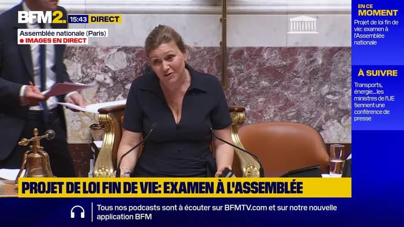 « IL RISQUE DE FAIRE UN PEU CHAUD DANS LES MINUTES OU HEURES QUI VIENNENT »: LA CLIMATISATION EN PANNE À L’ASSEMBLÉE