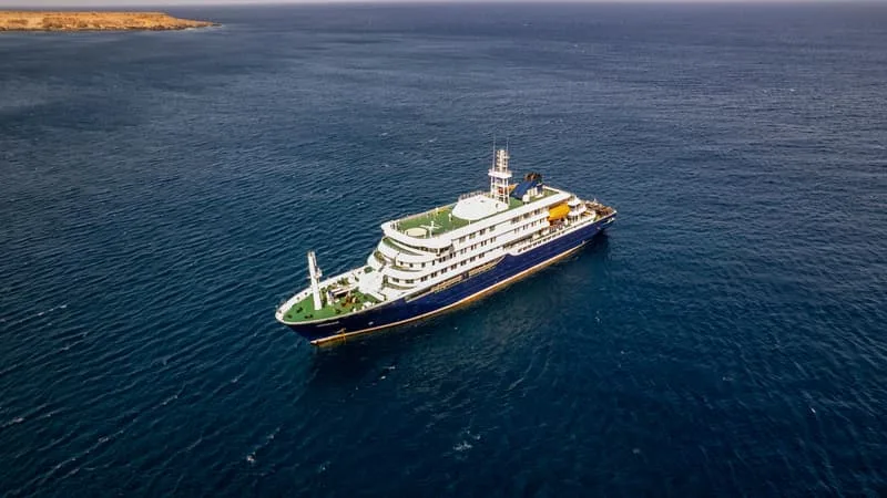 HANTAVIRUS SUR UN NAVIRE DE CROISIÈRE: UN PASSAGER INFECTÉ PAR LA SOUCHE DES ANDES, TRANSMISSIBLE ENTRE HUMAINS
