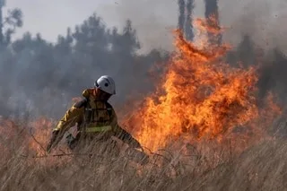 INCENDIES : QU’EST-CE QUE LES « FEUX ZOMBIES », INVISIBLES MAIS DANGEREUX ?