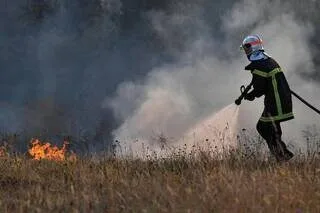 CANICULE : PRÈS DE 4 HECTARES DE BROUSSAILLES ET UN TRACTEUR BRÛLÉS DANS UN INCENDIE EN MAINE-ET-LOIRE
