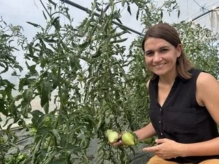 DIRECT. COMMENT CULTIVER SES PLUS BELLES TOMATES ? UNE EXPERTE VOUS RÉPOND EN VIDÉO