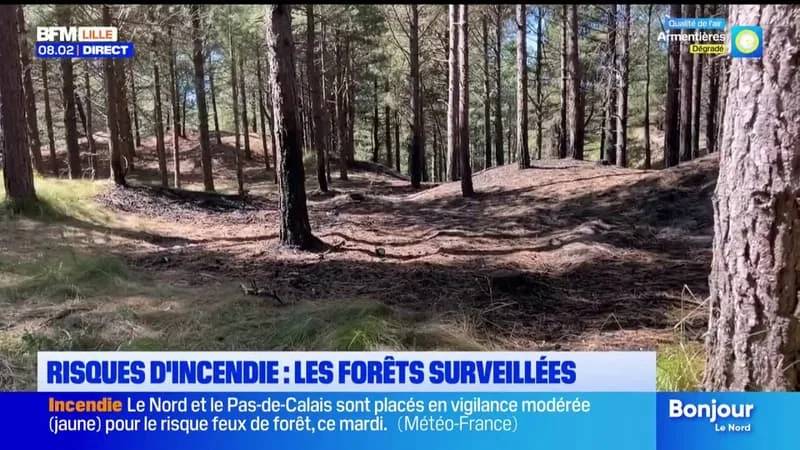 LE NORD EST EN VIGILANCE ORANGE FEUX DE FORÊT CE MARDI.