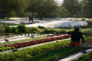 MANGER CHEZ LES PRODUCTEURS : DÉCOUVREZ NOTRE SÉLECTION D’ADRESSES DANS LE NUMÉRO D’ÉTÉ DE « BRETONS EN CUISINE »