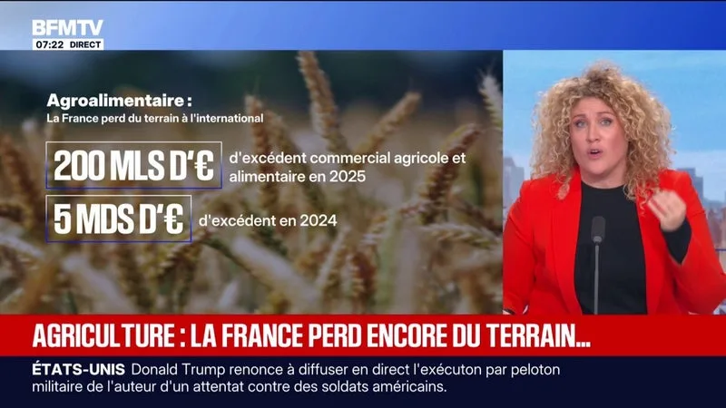 AGROALIMENTAIRE: L’EXCÉDENT COMMERCIAL AGRICOLE ET ALIMENTAIRE DE LA FRANCE TOMBE À 200 MILLIONS D’EUROS EN 2025, UN NIVEAU HISTORIQUEMENT BAS