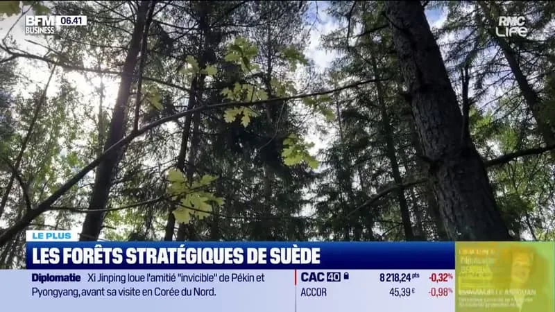 LES FORÊTS STRATÉGIQUES DE SUÈDE