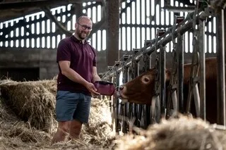 DANS LA MANCHE, LES VACHES SE DÉTENDENT EN ÉCOUTANT MOZART ET BACH