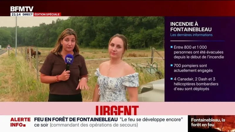 INCENDIE DANS LA FORÊT DE FONTAINEBLEAU: « ON NE PEUT PAS PRENDRE LE RISQUE DE LAISSER DES ANIMAUX », TÉMOIGNE CÉCILIA DUBOIS, HABITANTE QUI AIDE À ÉVACUER DES ANIMAUX