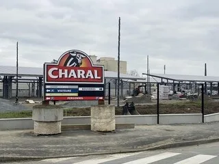 « STOP À LA BAISSE DES COURS DE LA VIANDE BOVINE ! » : CES AGRICULTEURS DE MAINE-ET-LOIRE VEULENT SE FAIRE ENTENDRE