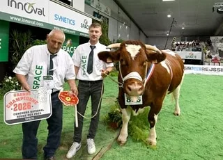 « C’EST UNE VACHE DANS L’AIR DU TEMPS » : COMMENT LA ROUGE DES PRÉS A RÉUSSI À TIRER SON ÉPINGLE DU JEU