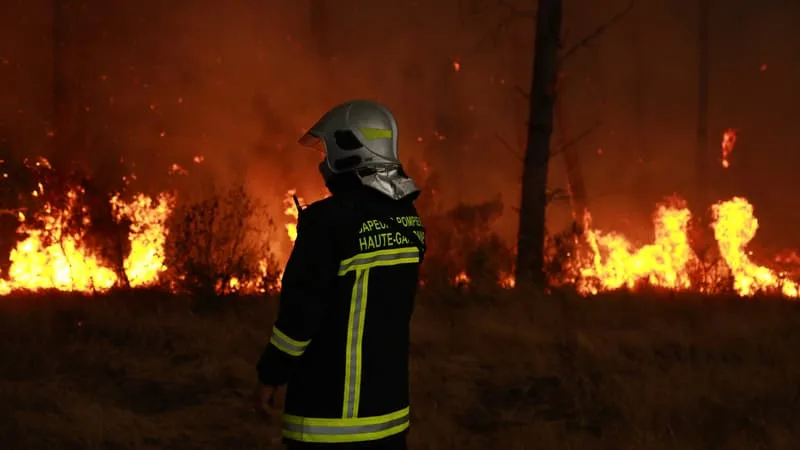 INCENDIES: COMMENT LE CHANGEMENT CLIMATIQUE TRANSFORME LES FORÊTS EN VÉRITABLES POUDRIÈRES