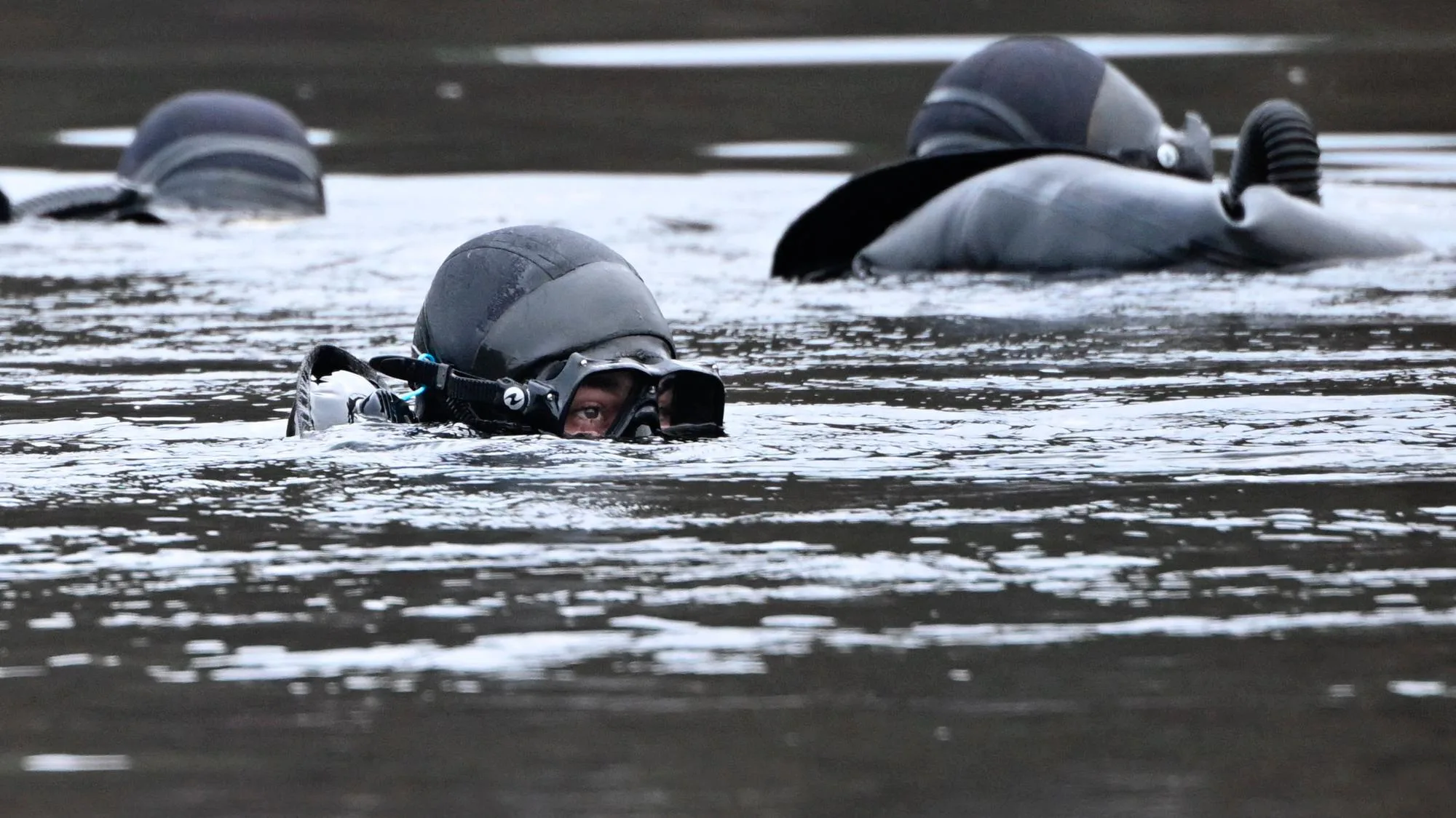 À ANGERS, DEUX MILITAIRES MEURENT LORS D’UN EXERCICE DE PLONGÉE DANS LA RIVIÈRE MAINE