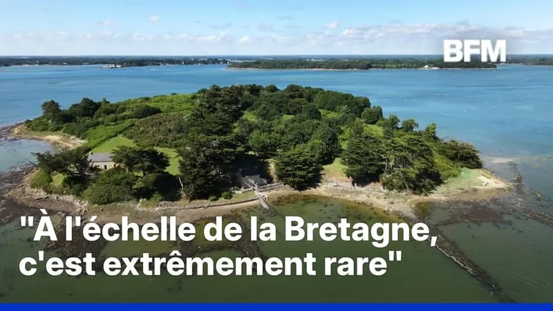 SIX HECTARES, CINQ PLAGES, DEUX MAISONS…UNE ÎLE EN BRETAGNE EST À VENDRE POUR 2,5 MILLIONS D’EUROS