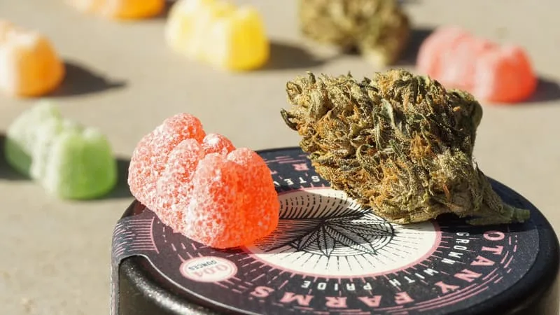 BONBONS, GÂTEAUX OU TISANES AU CBD INTERDITS À PARTIR DU 15 MAI: SONT-ILS DANGEREUX POUR LA SANTÉ?