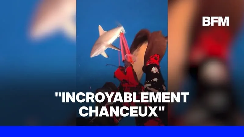 FIDJI: UN PÊCHEUR SOUS-MARIN ATTAQUÉ PAR UN REQUIN