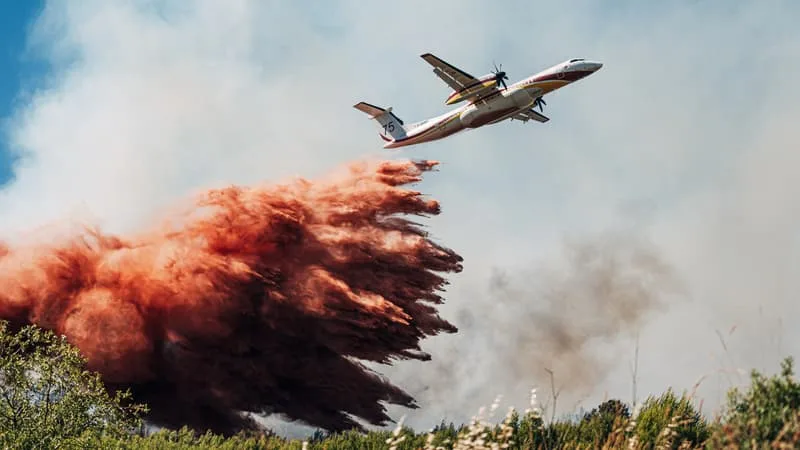 DIRECT. LA FRANCE EN ALERTE MAXIMALE FACE AUX INCENDIES ET À LA CANICULE, PRÈS DE 14.500 HECTARES ONT « DÉJÀ BRÛLÉ CETTE SAISON »
