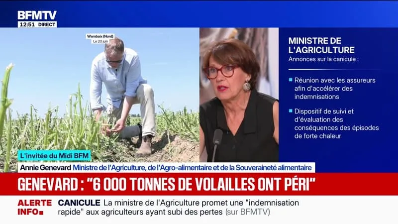 CANICULE: « J’APPROUVE LE PRINCIPE D’UN STOCKAGE DE L’EAU AMÉLIORÉ » POUR LES AGRICULTEURS, DÉCLARE ANNIE GENEVARD, MINISTRE DE L’AGRICULTURE.