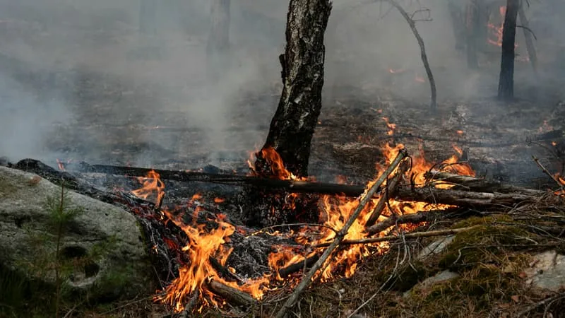 INFO BFMTV. INCENDIES À FONTAINEBLEAU: LE POMPIER VOLONTAIRE EST REVENU SUR SES AVEUX ET NIE ÊTRE À L’ORIGINE D’UN DÉPART DE FEU