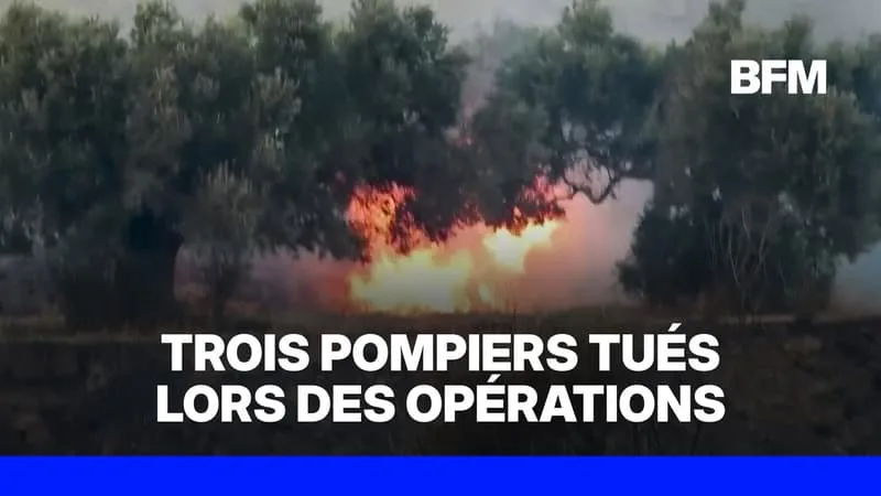 GRÈCE: CRÈTE, PAROS, LESBOS… DES ÎLES RAVAGÉES PAR LES FLAMMES