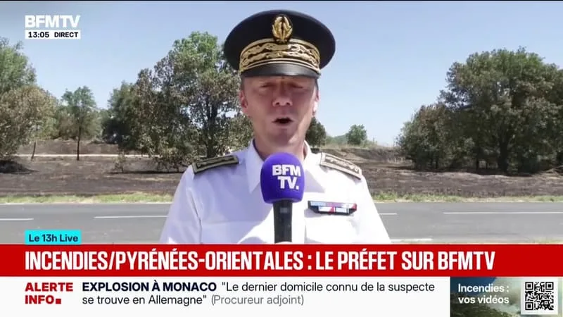 « LE FEU QUI CONCERNAIT LES CAMPINGS EST FIXÉ »: DANS LES PYRÉNÉES-ORIENTALES, « LA SITUATION ÉVOLUE FAVORABLEMENT » ASSURE LE PRÉFET