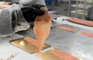 LISTERIA : CE SAUMON VENDU PARTOUT EN FRANCE EST CONTAMINÉ, IL NE FAUT SURTOUT PAS LE MANGER